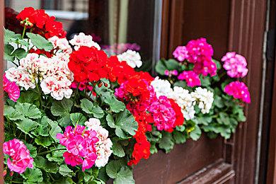 10月底发售 攀岩游戏新作《Jusant》实机演示赏